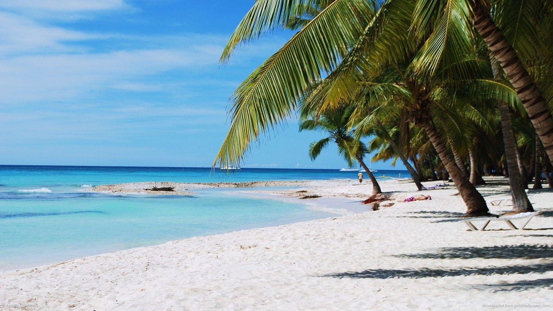 Dominika’nın Turizm Raporlarında Önemli Artışlar